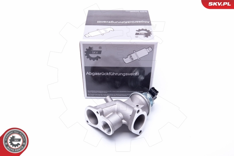 EGR Valve